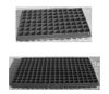 Tray Semai/Pe